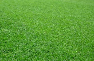 Jornada de Céspedes