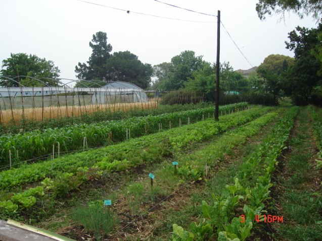 Horticultura Orgánica para Autoabastecimiento, nivel inicial