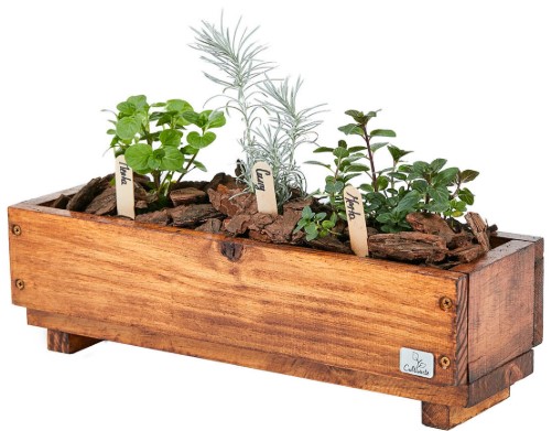 HUERTA ORGÁNICA FAMILIAR