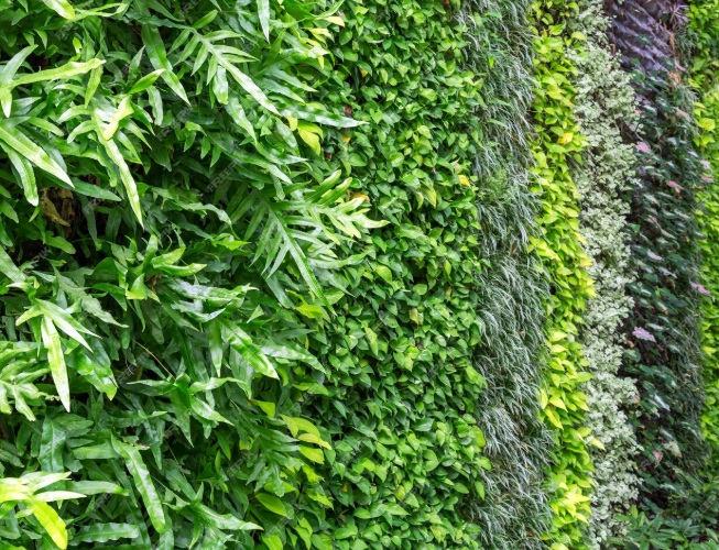 Jardines Verticales